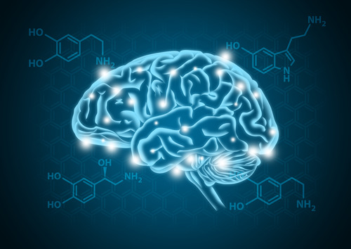 Brain Training