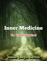 Inner Medicine PDF